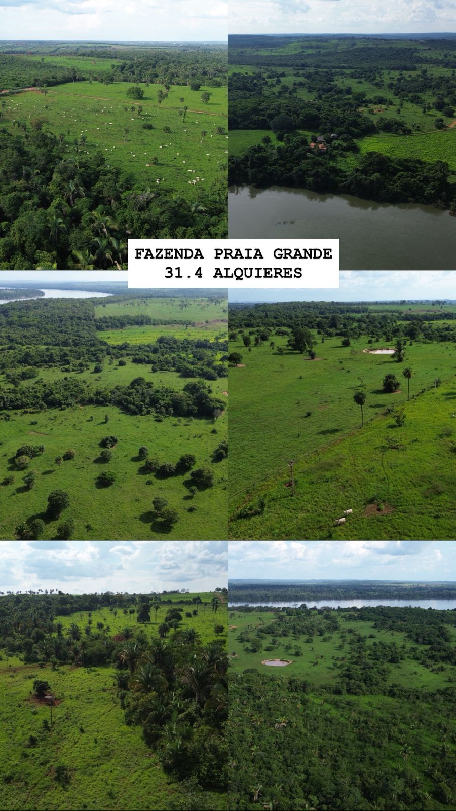 Foto da Fazenda 1