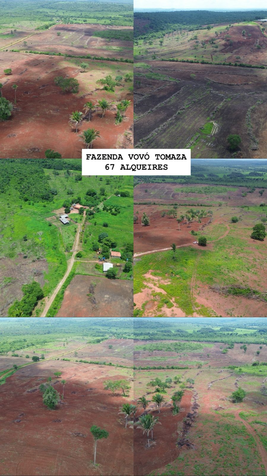 Foto da Fazenda 2