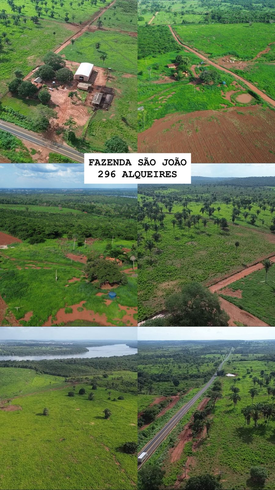 Foto da Fazenda 3